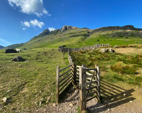 Fenceline across grass leading to Langdale Pikes