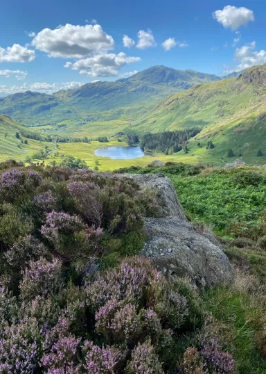 Blea Tarn from Side Pike