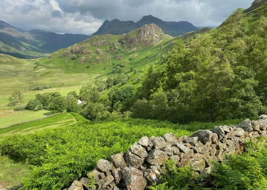 Blea Tarn House, Side Pike and Langdale Pike in view