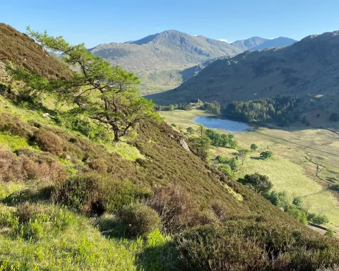 Blea Tarn from Lingmoor Fell