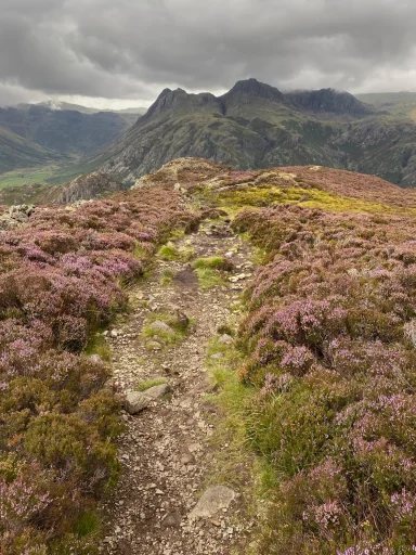 Path through heather to Langdale Pikes