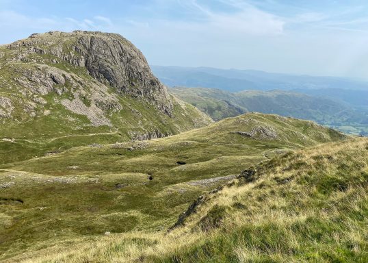 Harrison Stickle
